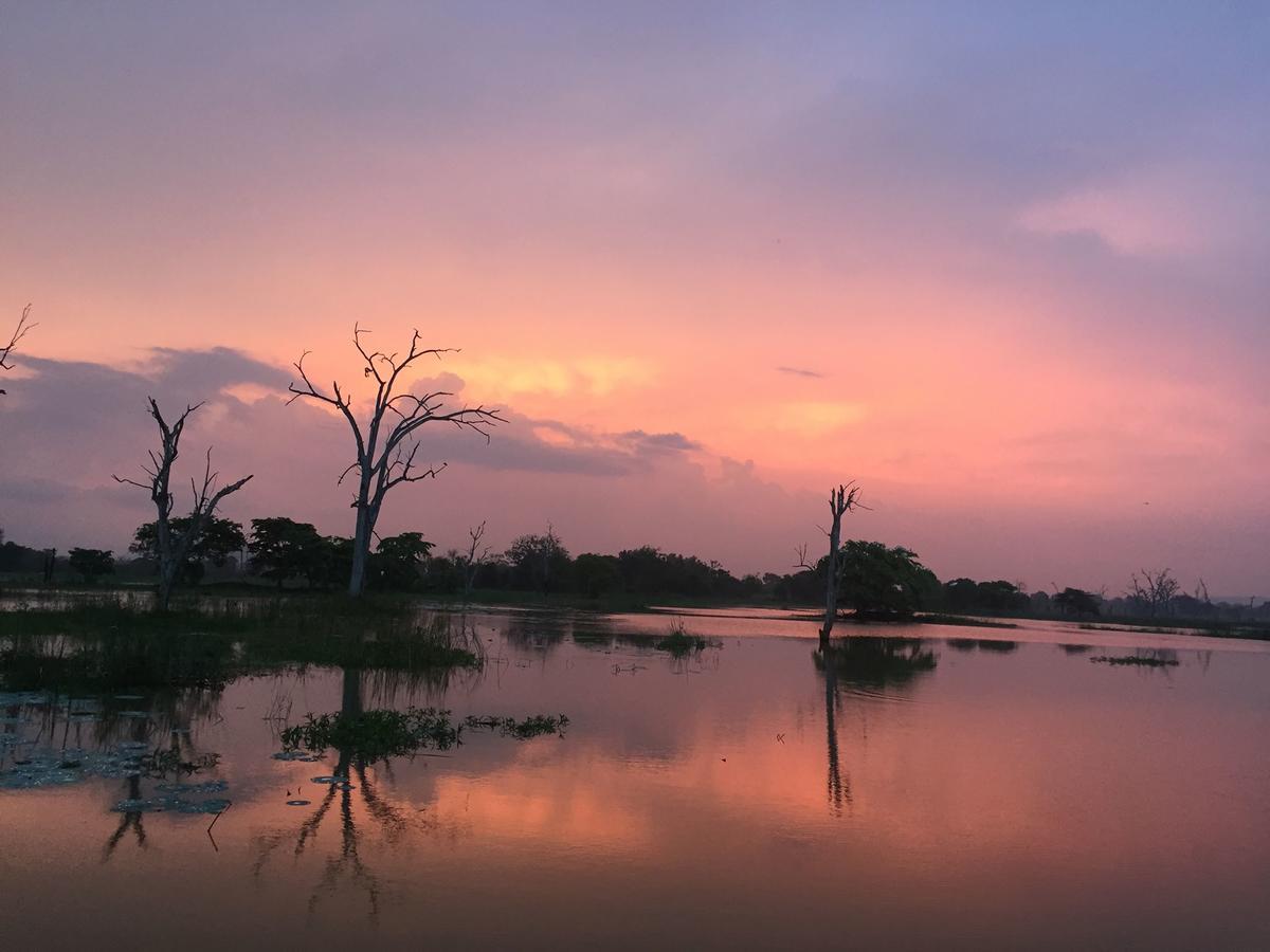 The Kingdom Ecolodge Monaragala Esterno foto